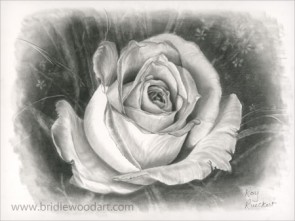 The Rose by Roxy Rueckert
